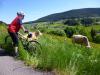images/stories/baiersbronn/bayersbronn_2015_800_07.jpg