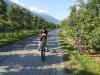 images/stories/suedtirol/tramin_08.jpg