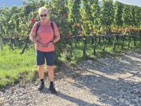 images/stories/suedtirol/tramin_2026_800_2.jpg