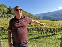 images/stories/suedtirol/tramin_2026_800_3.jpg