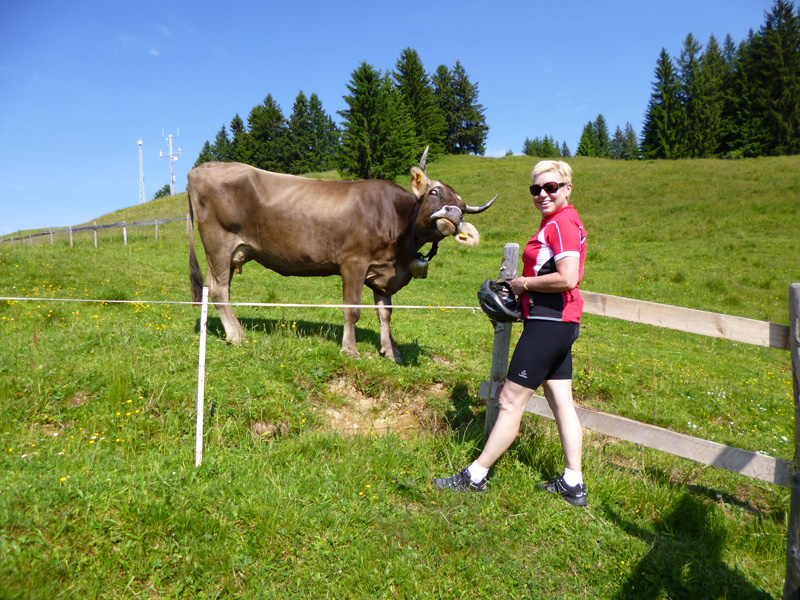 Für eine große Ansicht anklicken